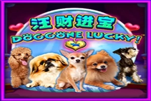 01151 doggone lucky